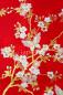 Preview: Kimono Schmetterling & Kirschblüten rot 137cm